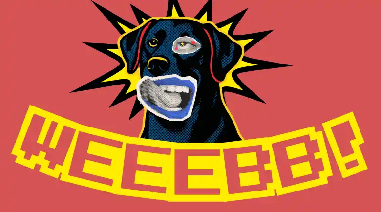 Landing Page Tasarımı