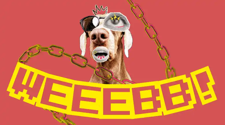 Web Tasarım Trendleri 2025